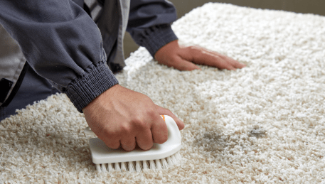 Professional Rug Cleaning Nerrina