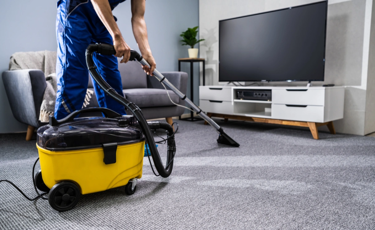 Extract Rug Cleaning Nerrina Contact Office